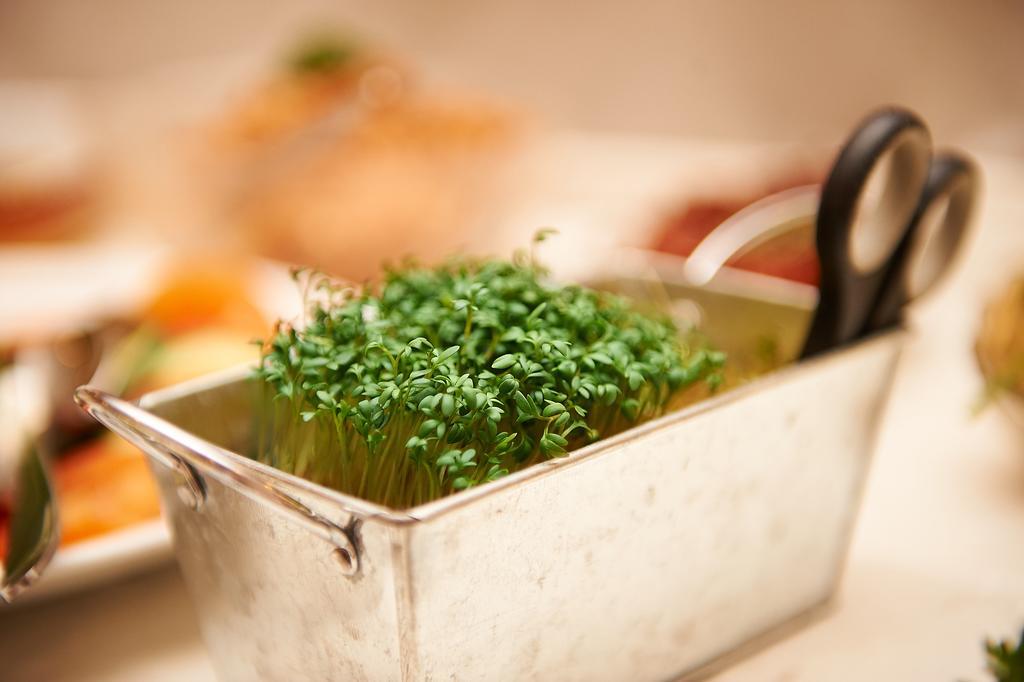 Vegan Hotel Und Restaurants Nicolay 1881 Zeltingen-Rachtig Bagian luar foto